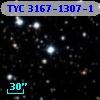 TYC 3167-1307-1