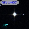 NSV 14437