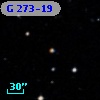 G 273-19