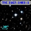 TYC 3167-1403-1