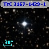 TYC 3167-1429-1
