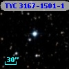 TYC 3167-1501-1