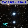 TYC 3167-1530-1