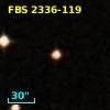 FBS 2336-119