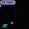 PB  7803