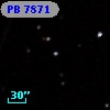 PB  7871