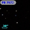 PB  7872