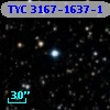 TYC 3167-1637-1