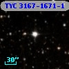 TYC 3167-1671-1