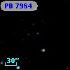 PB  7984