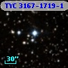 TYC 3167-1719-1