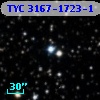 TYC 3167-1723-1