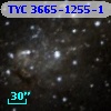 TYC 3665-1255-1
