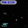 PHL  6239