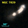 NGC  7829