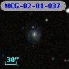 MCG-02-01-037