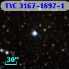 TYC 3167-1897-1