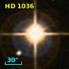 HD   1036