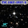 TYC 3167-1937-1