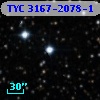 TYC 3167-2078-1