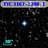 TYC 3167-2390-1