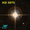HD   3975