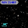 NSV 25407