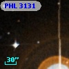 PHL  3131