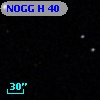 NOGG H   40
