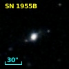 SN 1955B