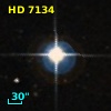 HD   7134