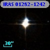 IRAS 01282-1242