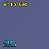 V* FY Cet