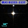 IRAS 01333-1137