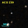 ACO   239