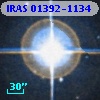 IRAS 01392-1134