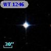 WT 1246