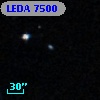 LEDA    7500