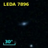 LEDA    7896