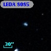 LEDA    8085