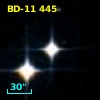 BD-11   445