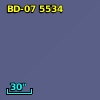 BD-07  5534