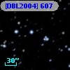 [DBL2004] 607