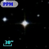PPM 709124