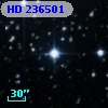 HD 236501