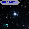 HD 236504