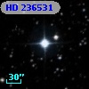HD 236531