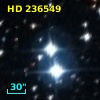 HD 236549