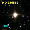 HD 236562