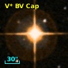 V* BV Cap